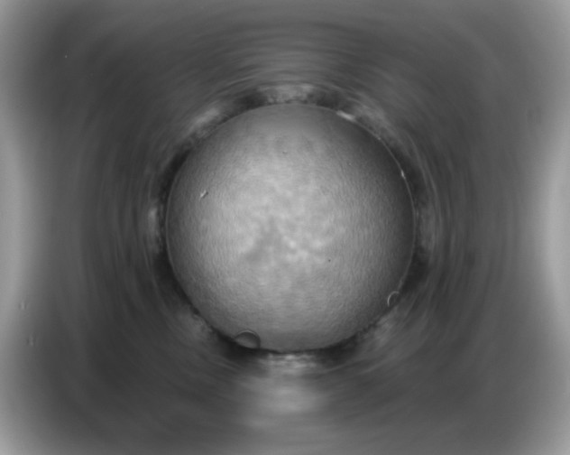 X0000086750378200704271715