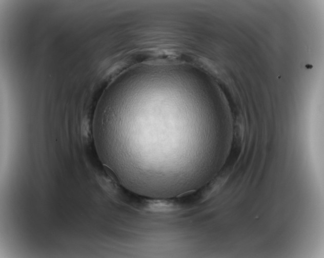 X0000086750380200704271715