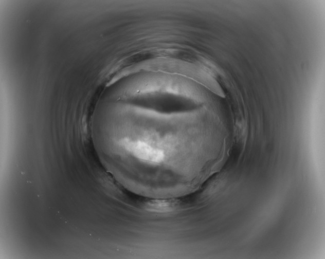 X0000086750381200704271715