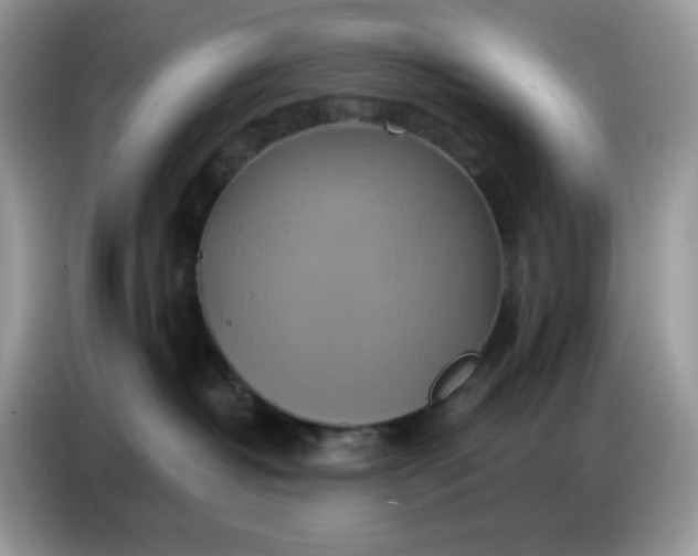 X0000086750382200704271715