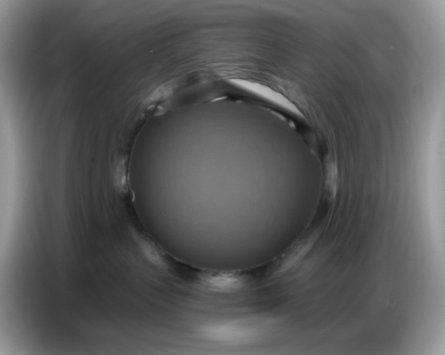 X0000086750383200704271715