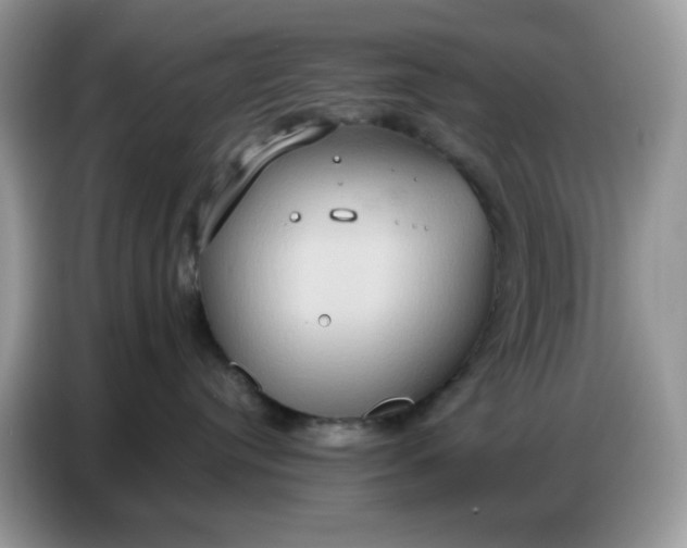 X0000086750384200704271715