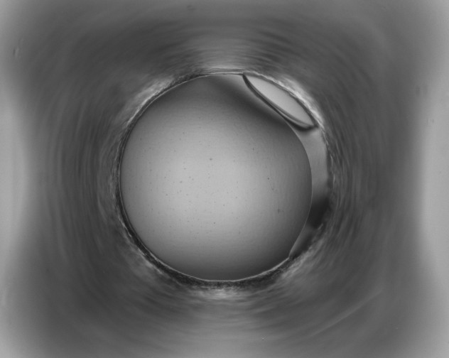 X0000086750385200704271714