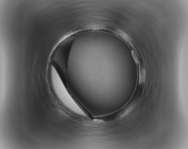 X0000086750387200704271714