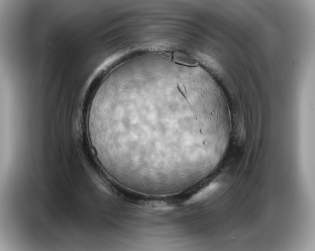 X0000086750392200704271714