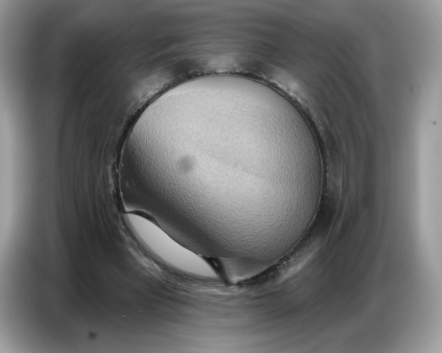 X0000086750393200704271714