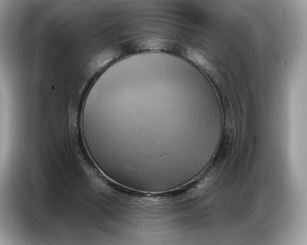 X0000086750394200704271714