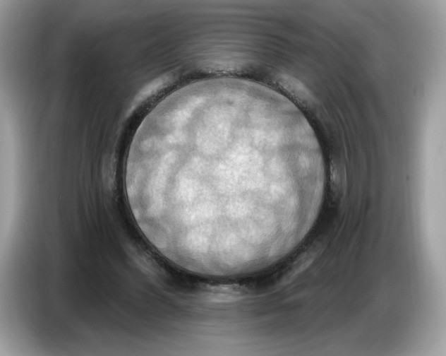 X0000086750396200704271714