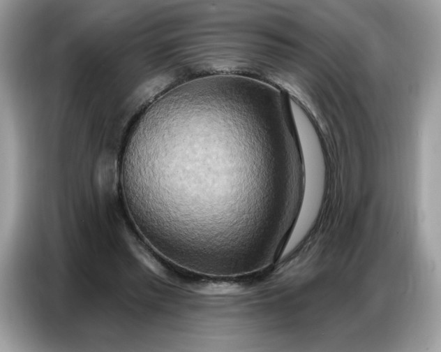 X0000086750397200704271714