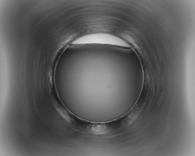 X0000086750398200704271714