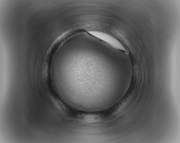 X0000086750400200704271714