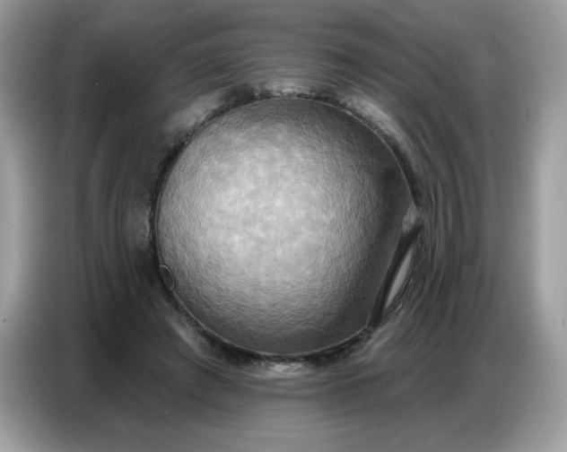 X0000086750401200704271714