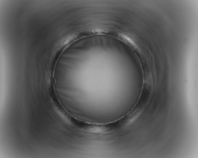 X0000086750402200704271714