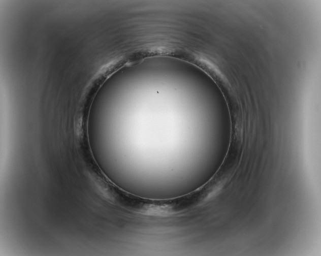 X0000086750403200704271714