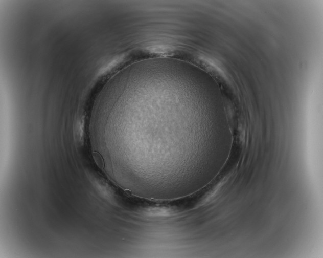 X0000086750404200704271714