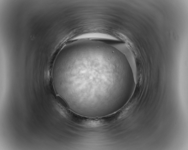 X0000086750405200704271714