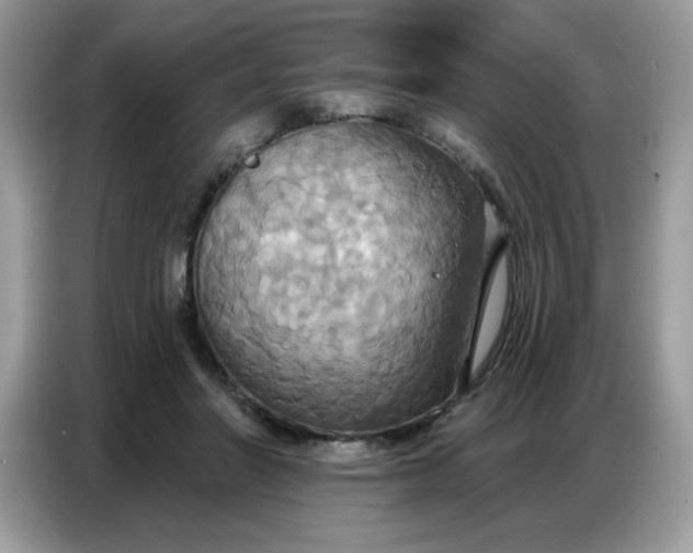 X0000086750406200704271714