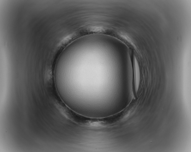 X0000086750407200704271714