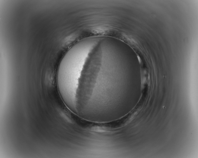 X0000086750408200704271714