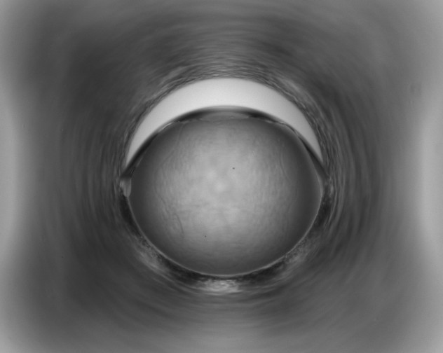 X0000086750409200704271714