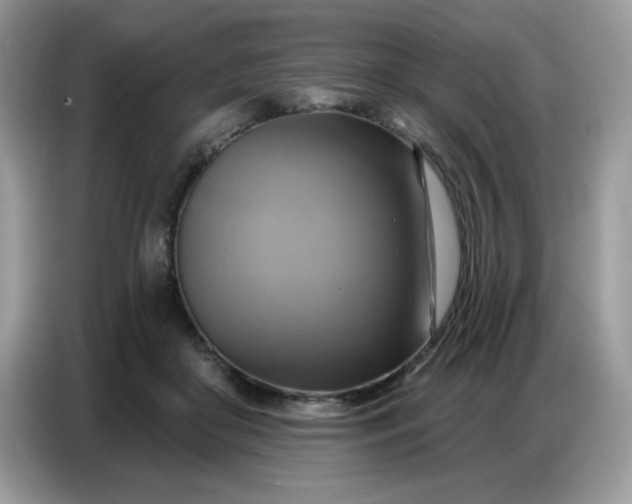 X0000086750410200704271714