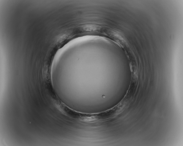 X0000086750411200704271714