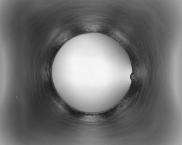 X0000086750414200704271714