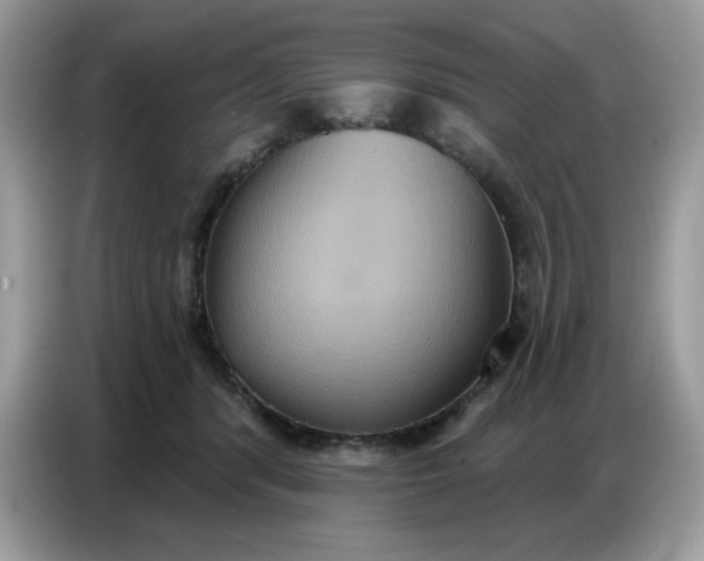 X0000086750416200704271714