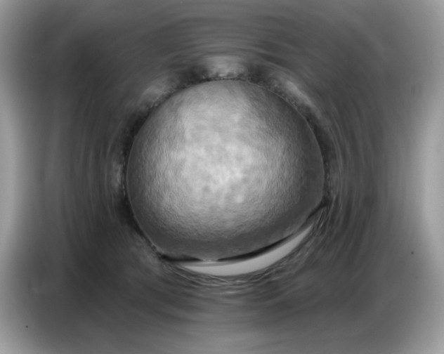 X0000086750417200704271714