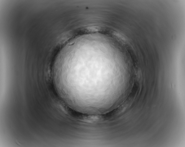 X0000086750418200704271714