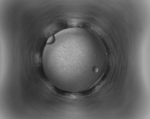 X0000086750420200704271714