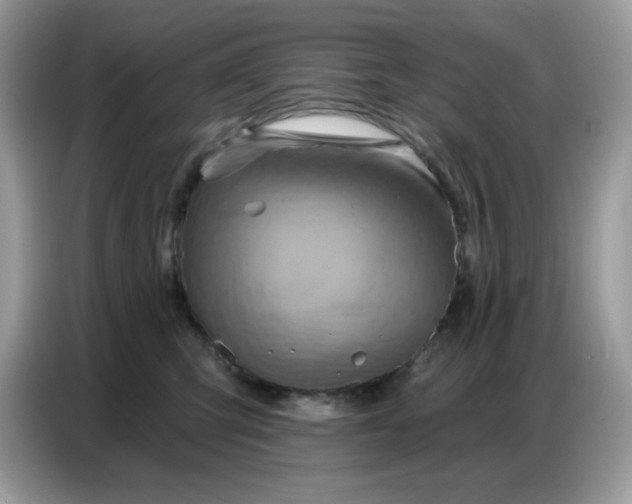 X0000086750423200704271714