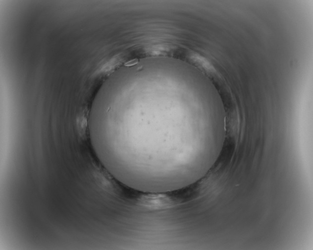 X0000086750427200704271714