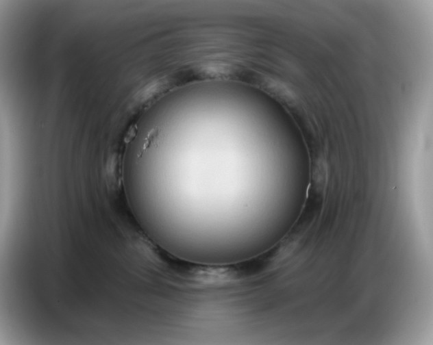 X0000086750428200704271714