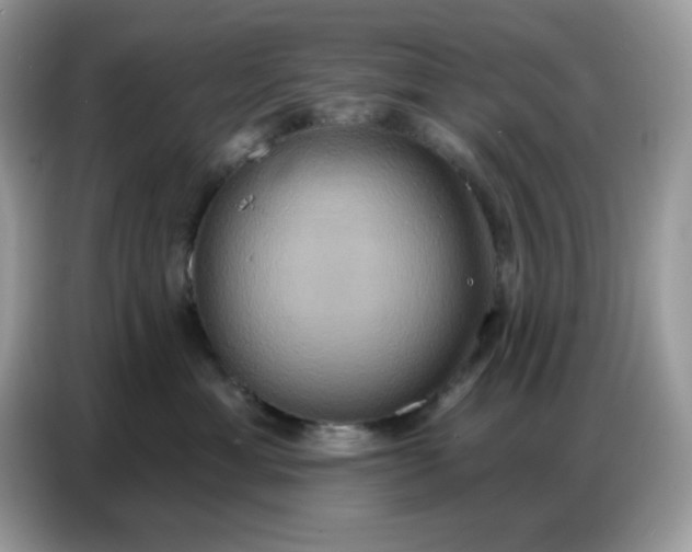 X0000086750429200704271714