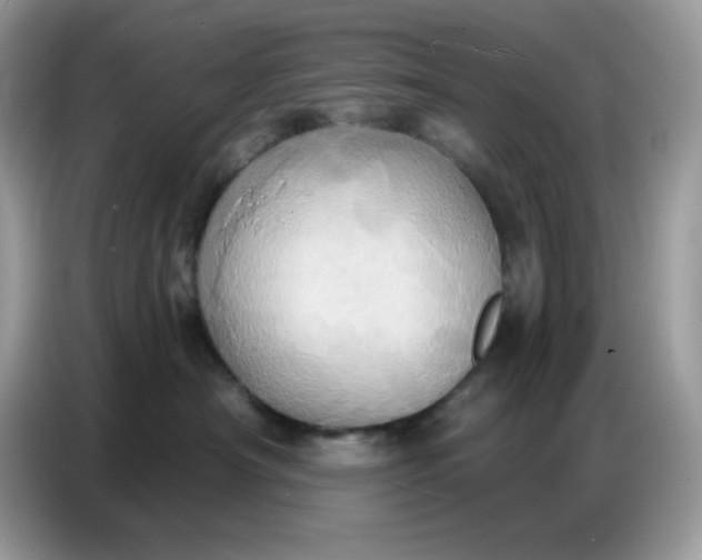 X0000086750430200704271714