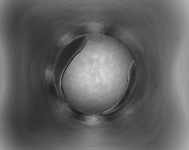 X0000086750432200704271714