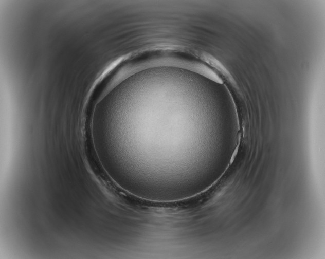 X0000086750436200704271713