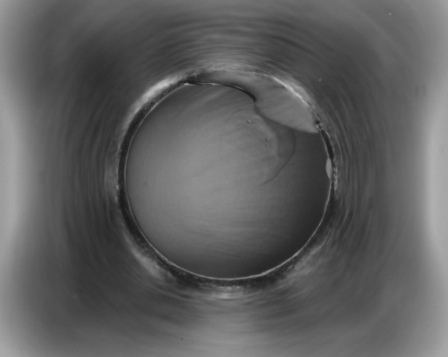 X0000086750438200704271713