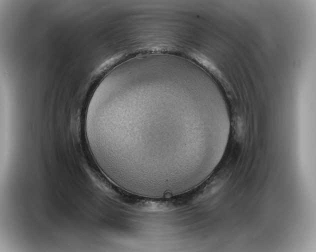 X0000086750442200704271713