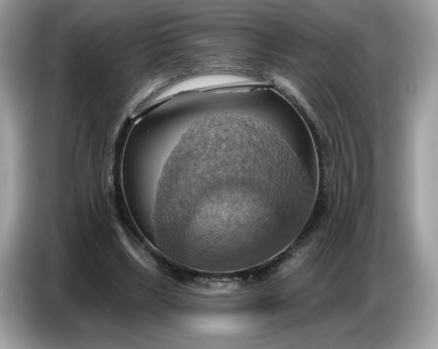 X0000086750443200704271713