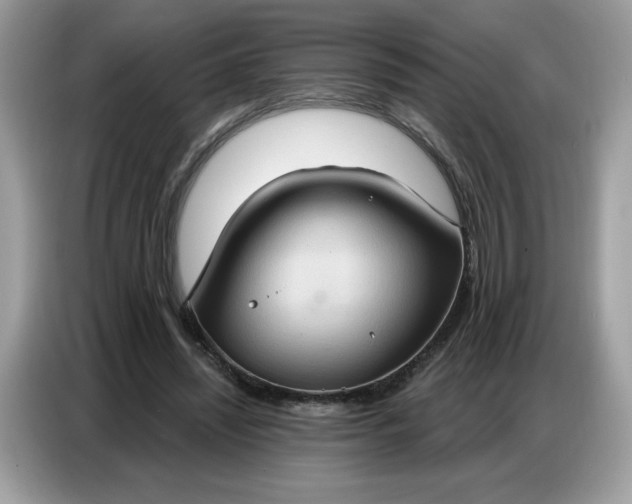 X0000086750444200704271713