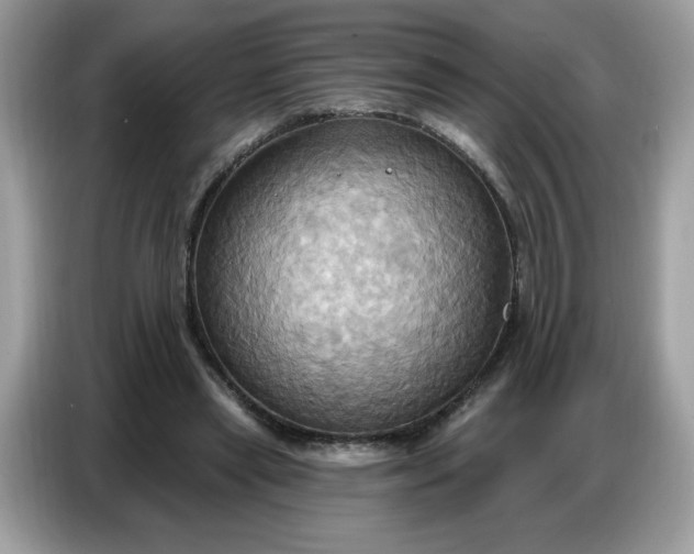 X0000086750445200704271713