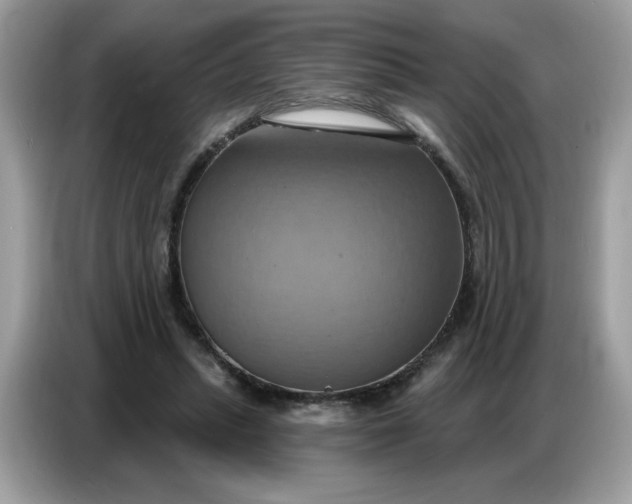 X0000086750447200704271713