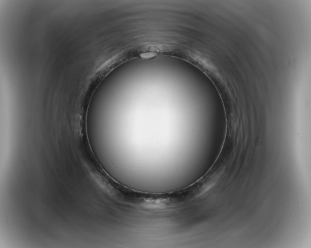 X0000086750450200704271713