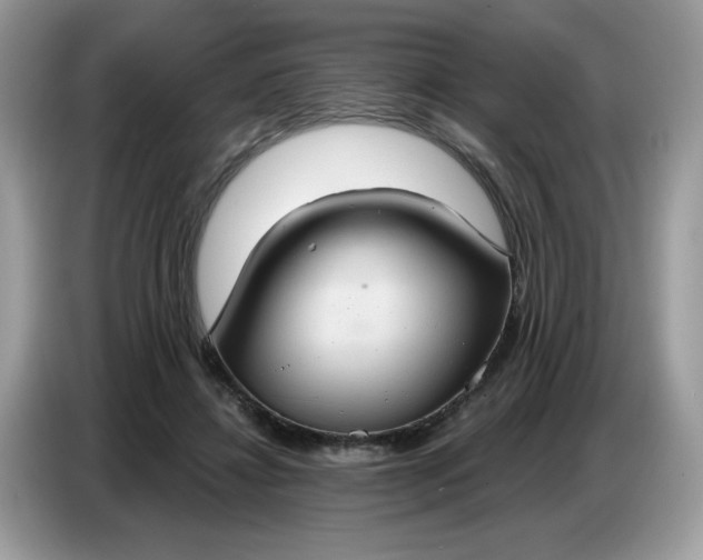 X0000086750452200704271713