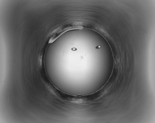 X0000086750454200704271713