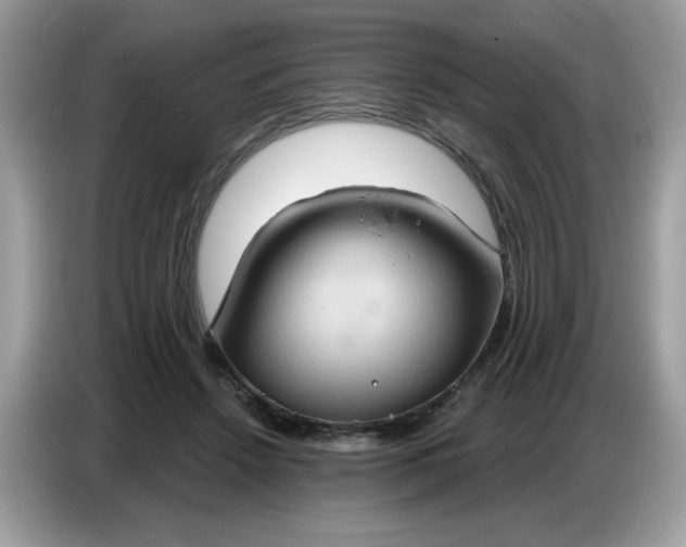 X0000086750456200704271713