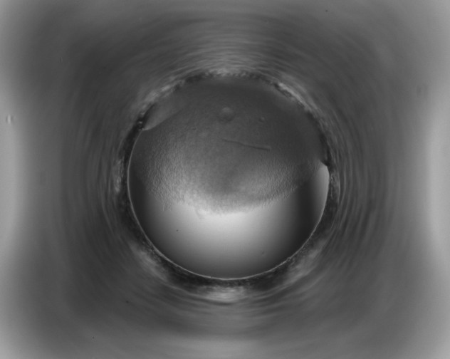 X0000086750458200704271714