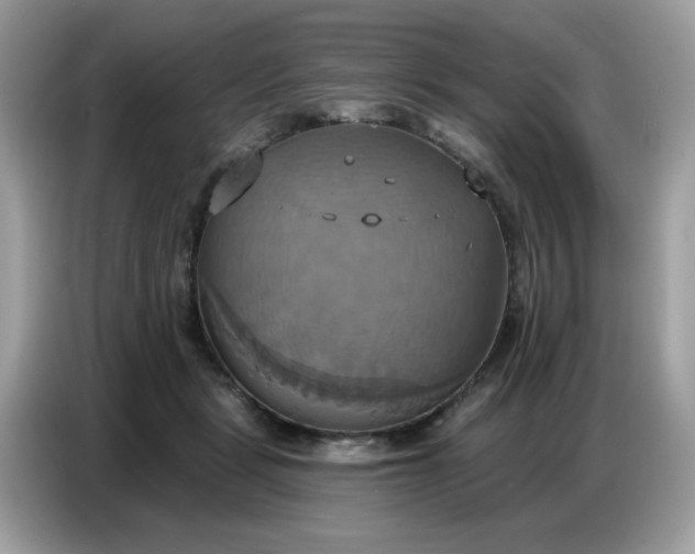 X0000086750461200704271714